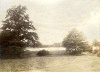 /album/fotogalerie-siedenbollentin/siedenbollentin-1910-gutshaus-serie-15-park-4-mit-see-web-jpg/